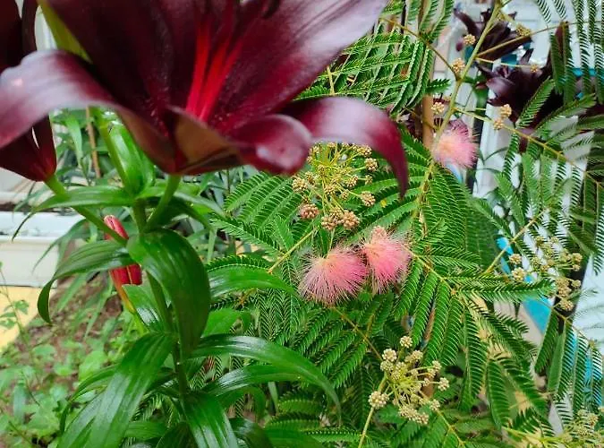 Хотел Familia Fantastiko Китен