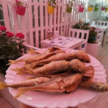 Familia Fantastiko 2* Китен