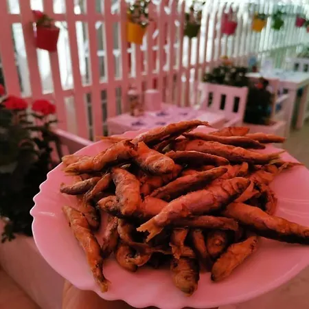 Хотел Familia Fantastiko Китен