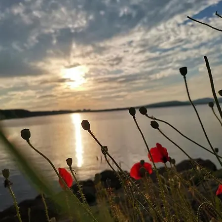 Familia Fantastiko Китен