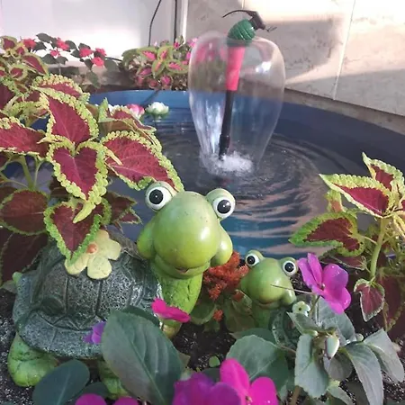 Familia Fantastiko Хотел 2*