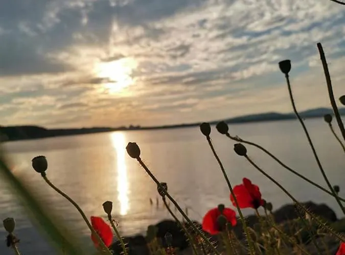 Familia Fantastiko 希典